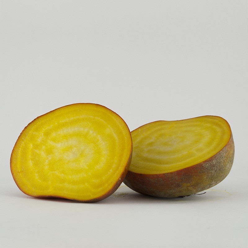 Biologische gele biet Biologische gele biet